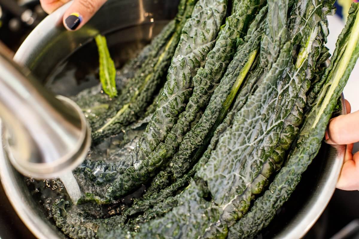 Leafy greens being washed under a faucet