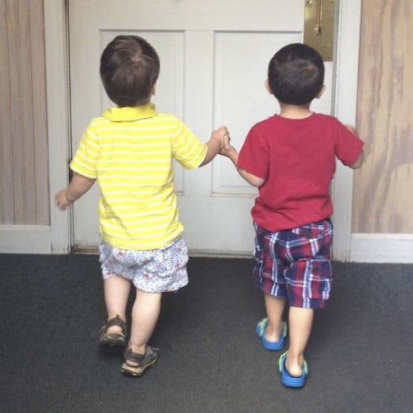 Cousins - The Lemon Bowl