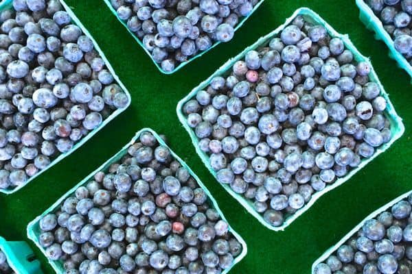Blueberries from Market - The Lemon Bowl