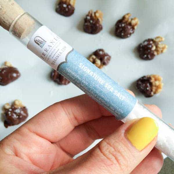 Chocolate Walnuts with Sea Salt - The Lemon Bowl