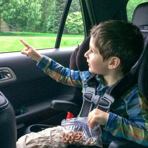 Toddler-Friendly Road Trip Snacks - The Lemon Bowl