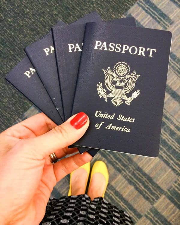 Passports - The Lemon Bowl