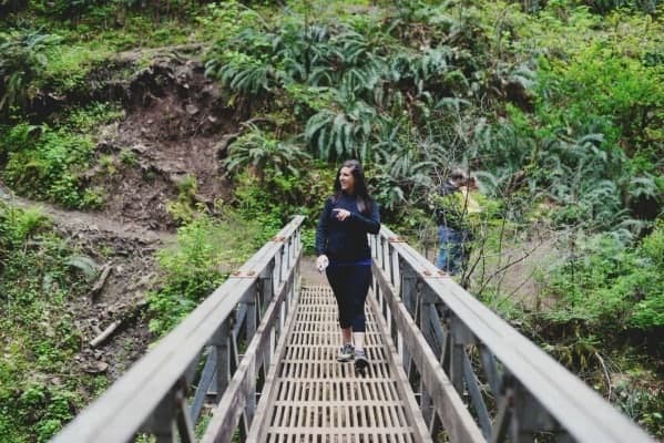 Bridge in Oneonta Gorge in Hood River
