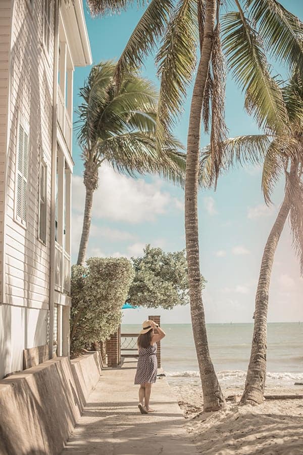 Liz in Key West Palm Trees