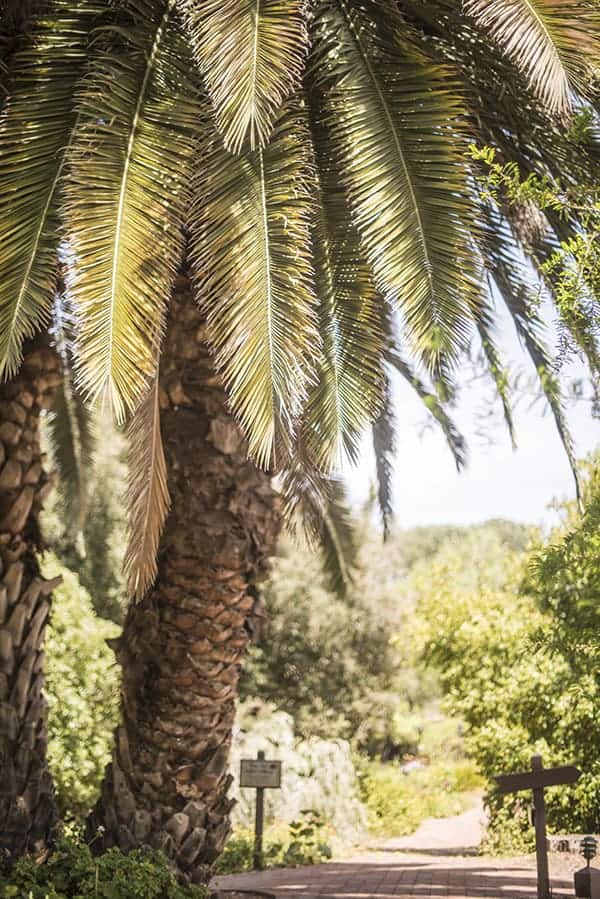Rancho La Puerta: What to Eat & How to Burn it Off