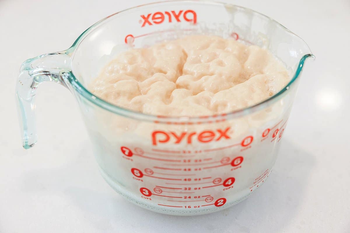 Yeast growing for challah in liquid measuring cup.