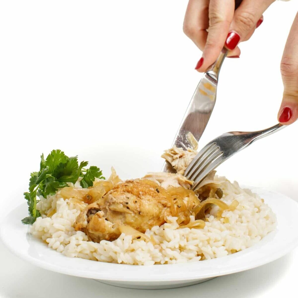 Filipino Chicken Adobo