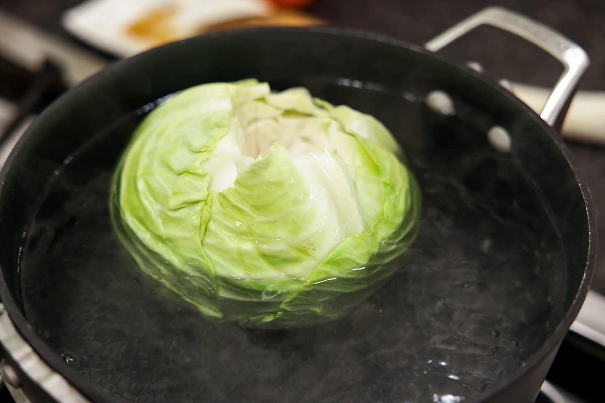 cabbage in a pan