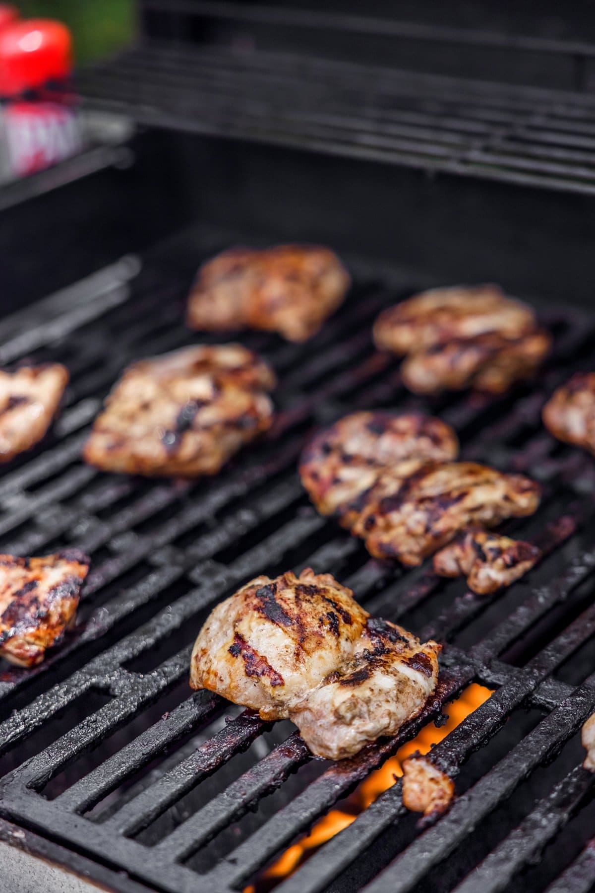 chicken on a grill