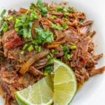 slow cooker shredded beef