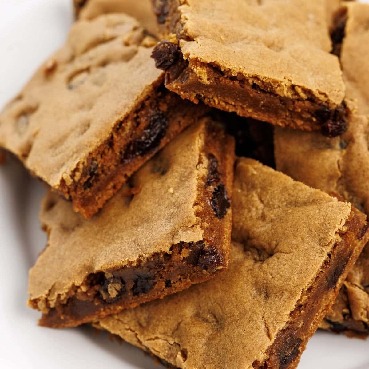 New England Hermit Cookie Bars