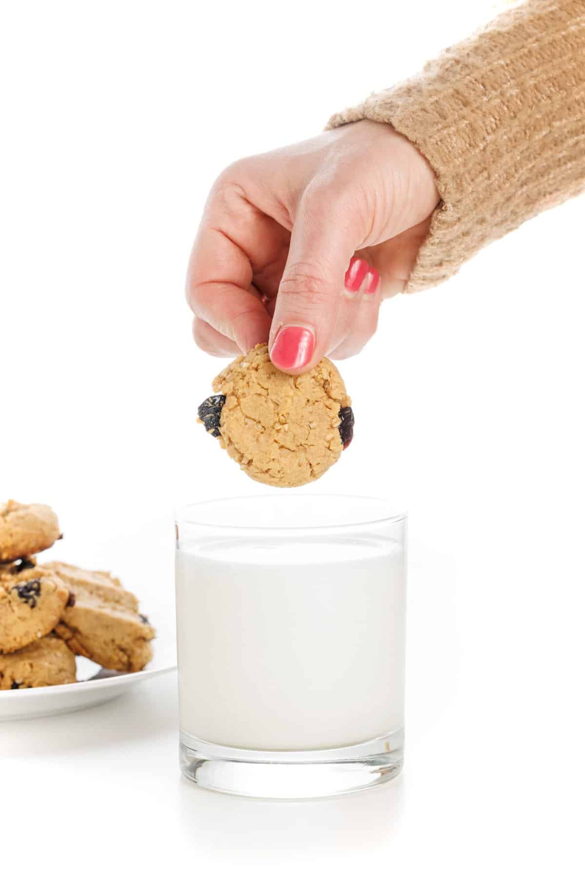 Dipping a wheels of steel peanut butter health cookie in milk.