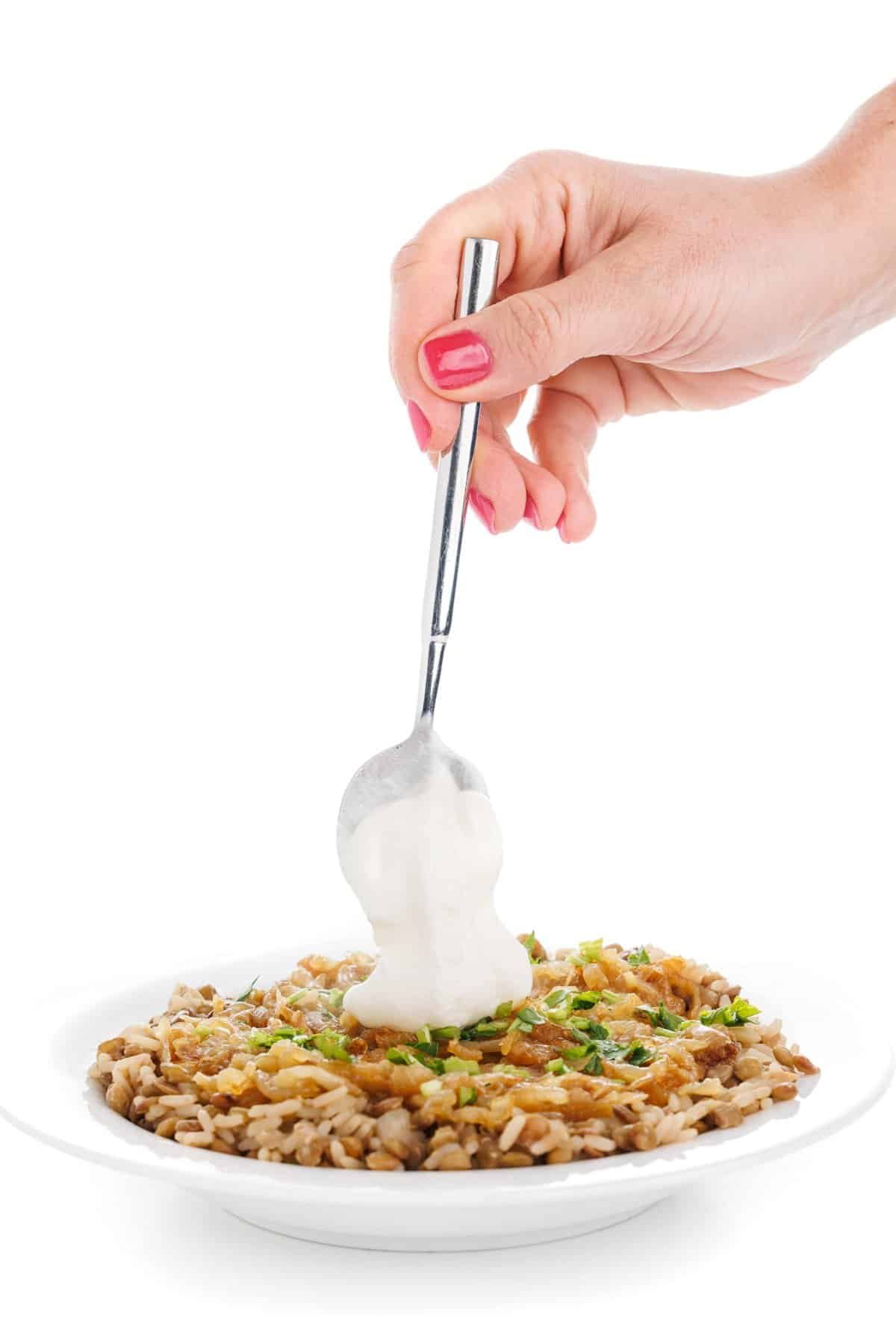 Dolloping yogurt onto m'juddarah.