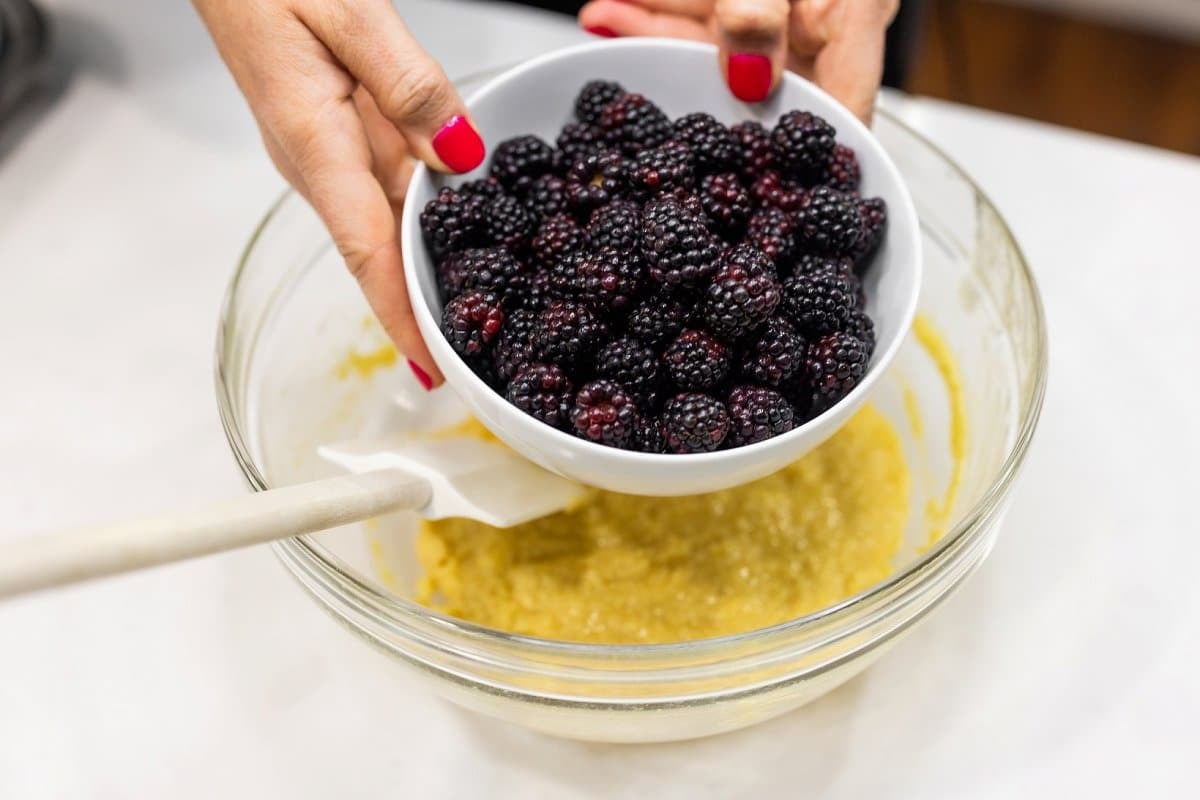 Bowl of Sweet Karoline blackberries.