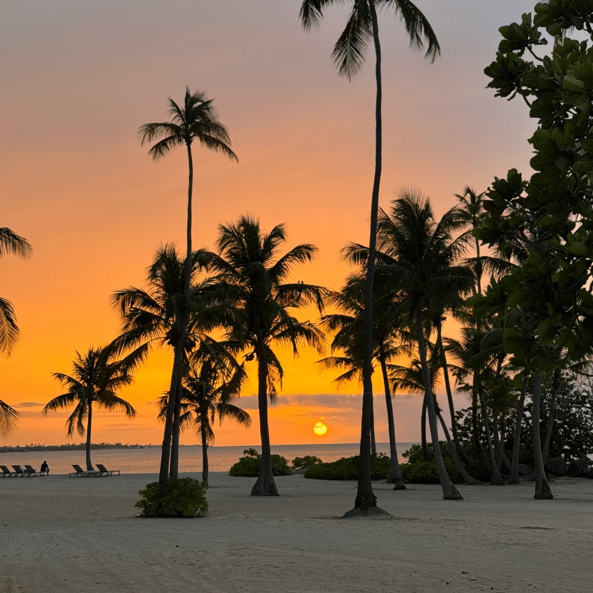 Paradise at the Hyatt Regency Grand Reserve Puerto Rico